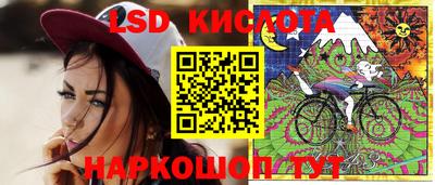 МДПВ Новозыбков