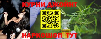 МДПВ Новозыбков