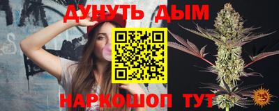 МДПВ Новозыбков