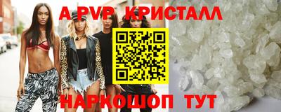 гашик Новодвинск