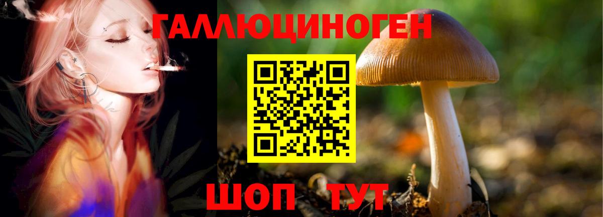 Серов  Псилоцибиновые грибы Cubensis  купить наркоту  Вход с VPN 